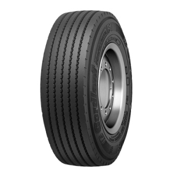 CORDIANT PROFESSIONAL TR-1