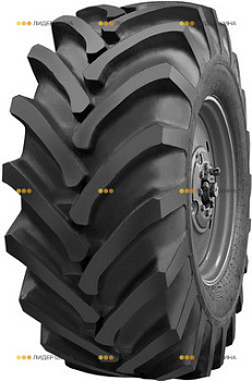 ijav79